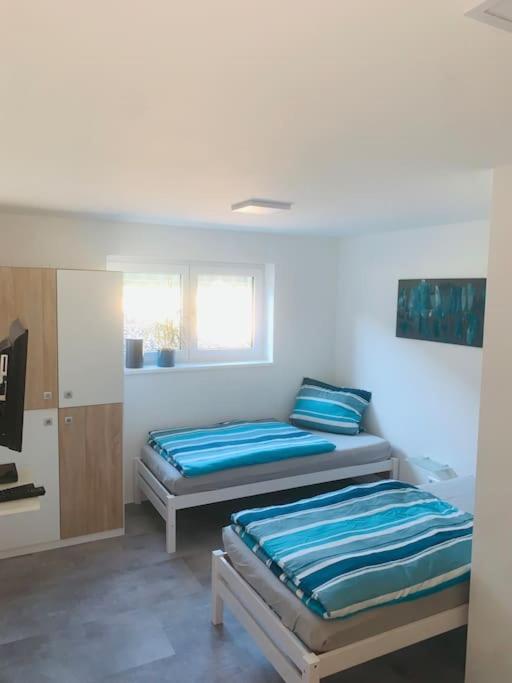 Moderne, Helle Ferienwohnung In Au Am Rhein Eksteriør billede